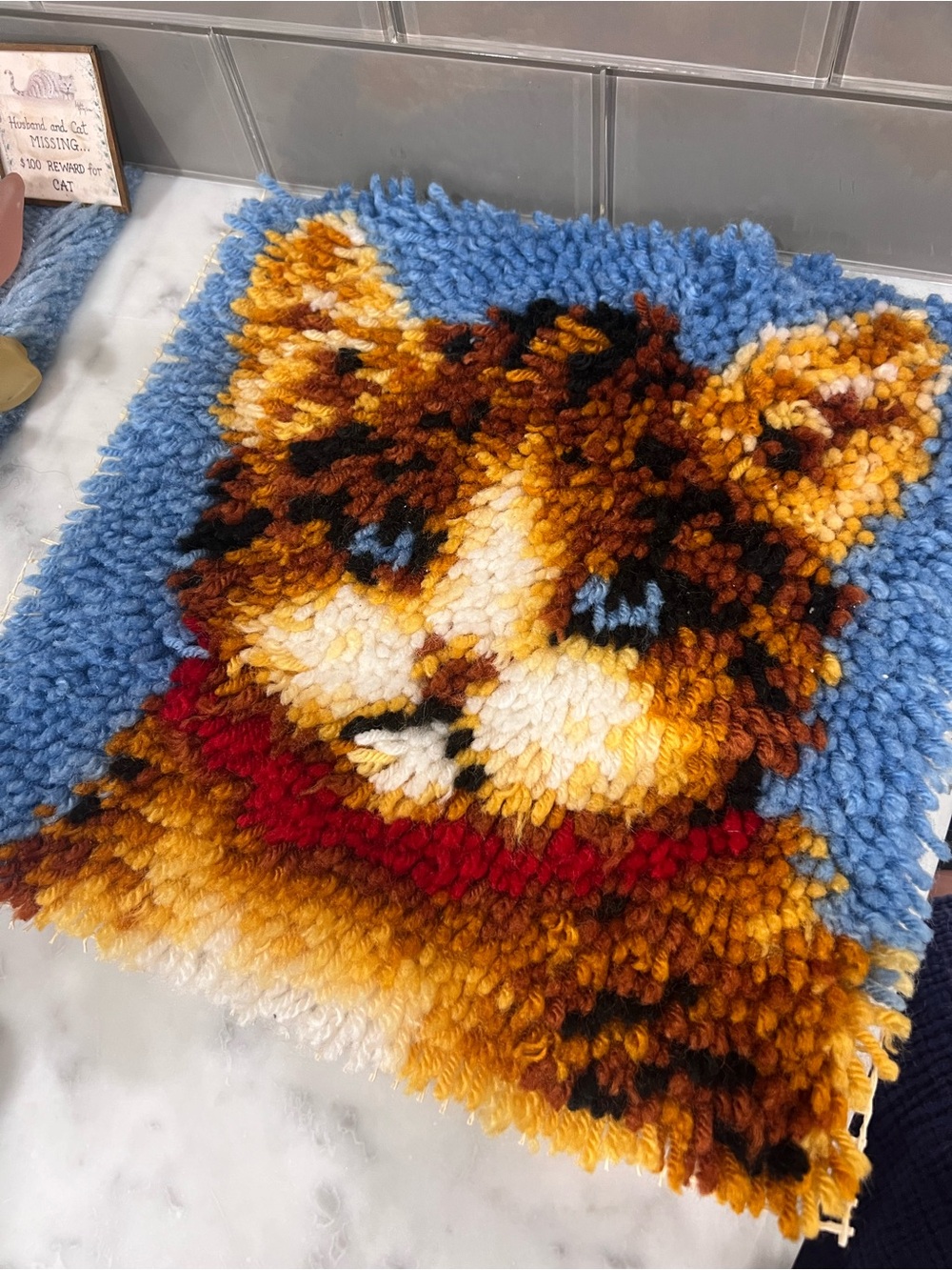 Handmade Latch Hook Decor - Fluffy Cat Portrait